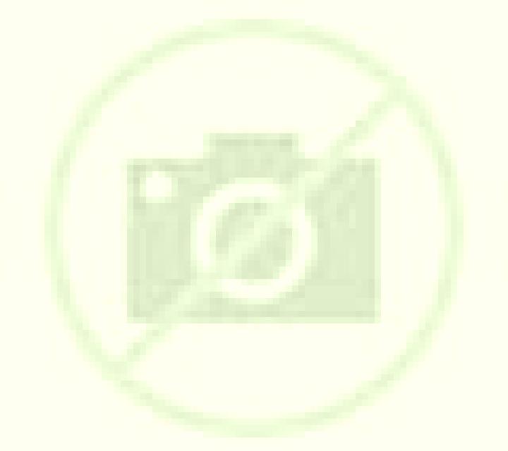 Valeria Ancin escort