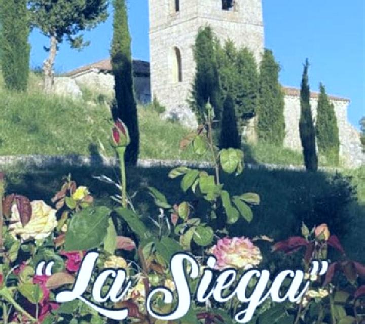 Vega 2 Chinchon escort