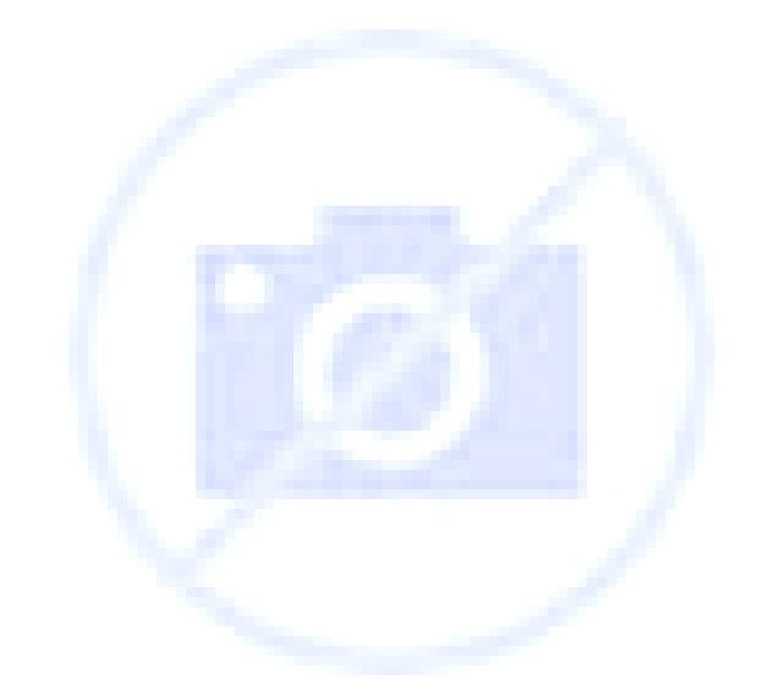 Vega 2 els Pallaresos escort