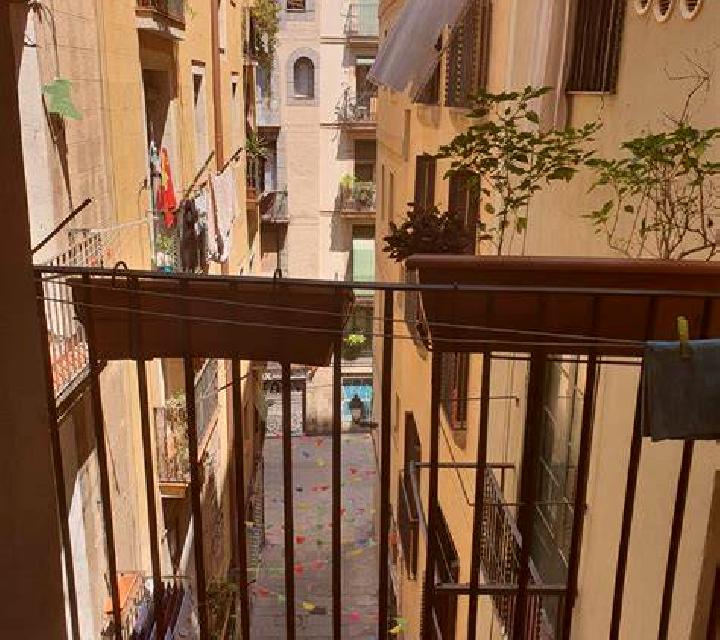 Vega 2 Sant Pere Molanta escort