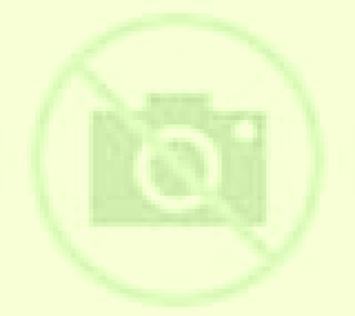 Vega 3 Purullena escort