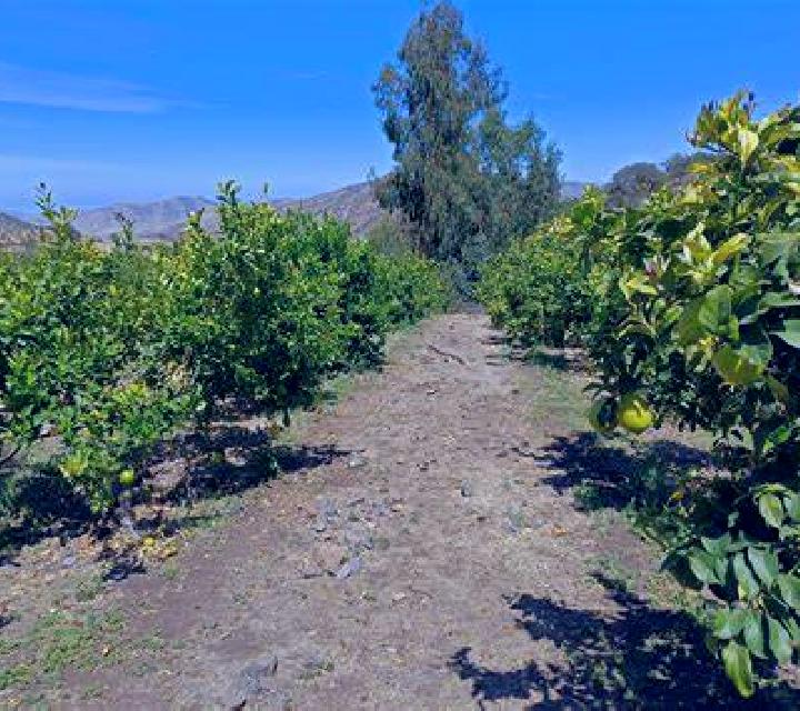 Vega 3 Tejadillos escort