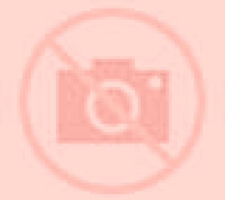 Vega Almudaina escort