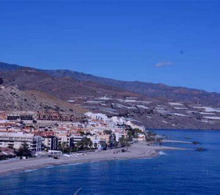 Vega Martos escort