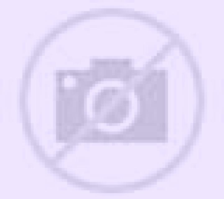 Vega Mogente escort