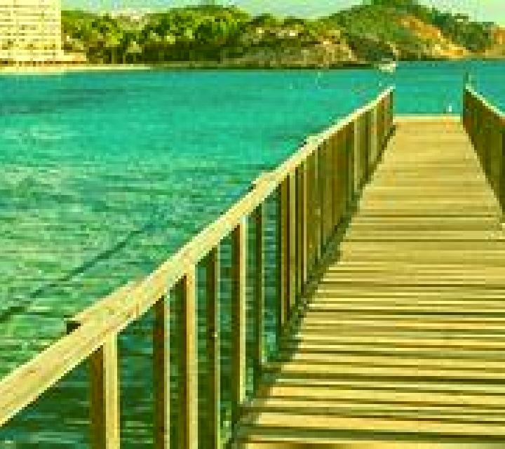 Vega Playa de las Americas escort