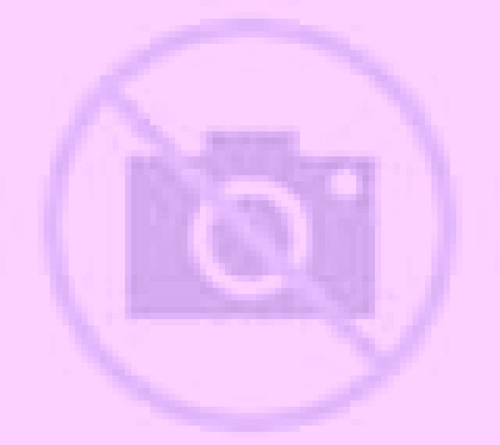 Ximena Galar escort