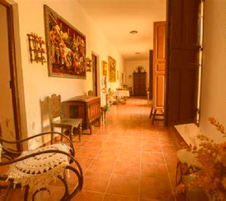 Ximena Villamiel de Toledo escort