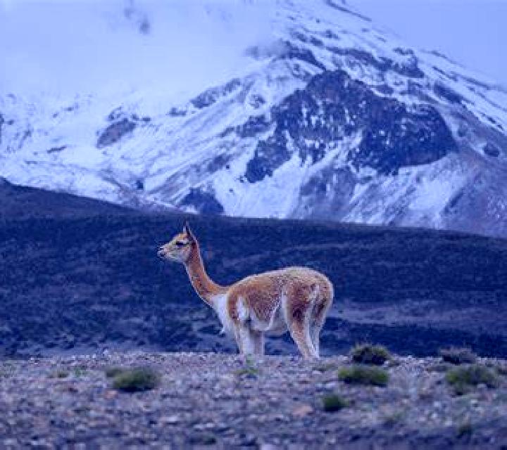 Yasmin 2 Franza escort