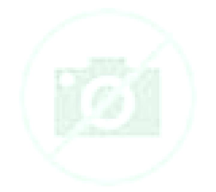 Yasmin 3 Torrico escort