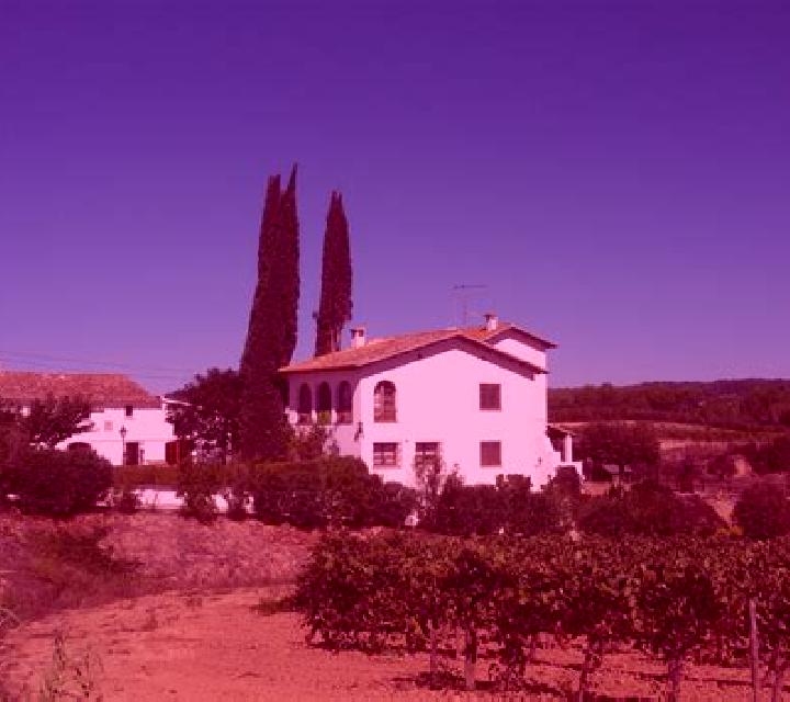 Zara 2 Cabanas de la Sagra escort