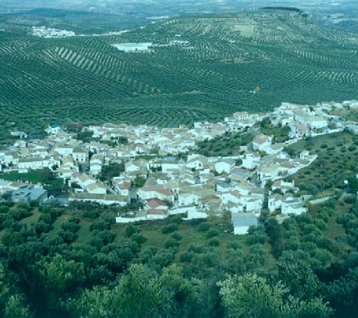 Zara 2 Genoves escort