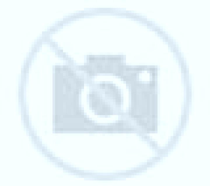 Zara Caseres escort